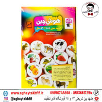 بازی فکری هوش چین یک تکه