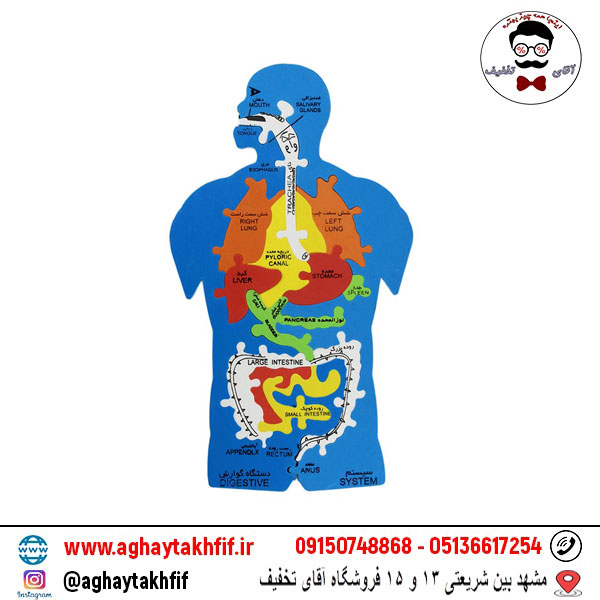 پازل آموزشی اعضای بدن انسان