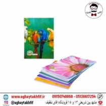 دفتر 60 برگ 2 خط گلستان